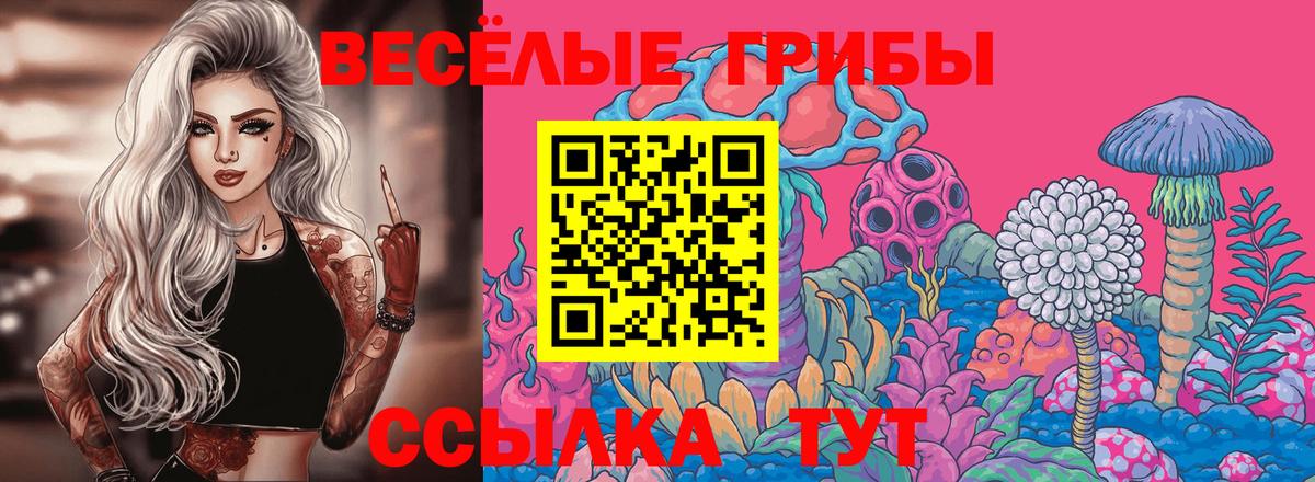 Галлюциногенные грибы Psilocybine cubensis  Вход с VPN  Галлюциногенные грибы Psilocybe  Ливны 